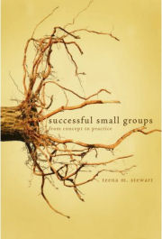 Successful Small Groups – From Concept to Practice