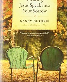 Hearing Jesus Speak into your Sorrow: Book Review